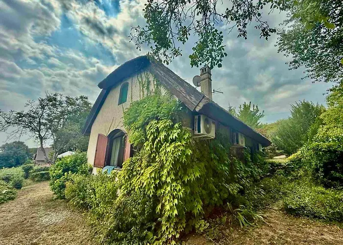 Szaletli * 蒂豪尼